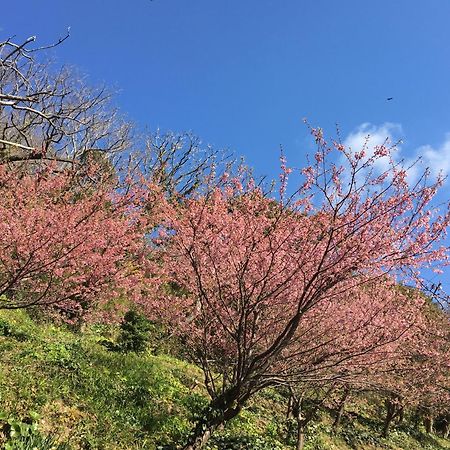 Dogashima Onsen Hotel Nishiizu Eksteriør billede