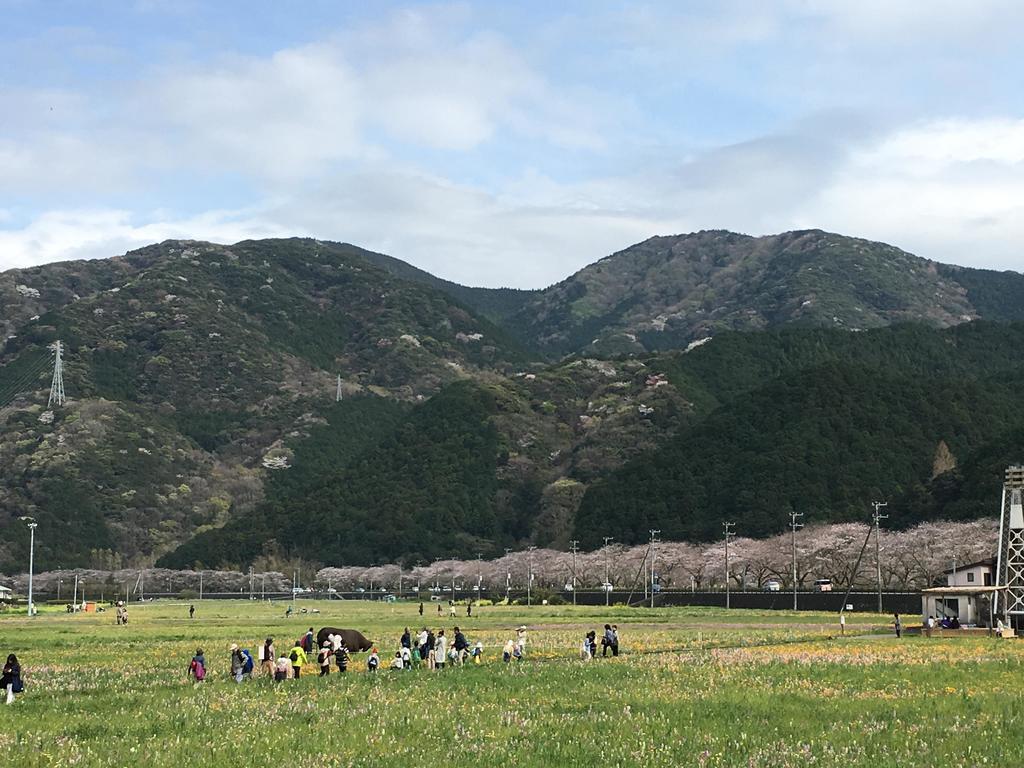 Dogashima Onsen Hotel Nishiizu Eksteriør billede