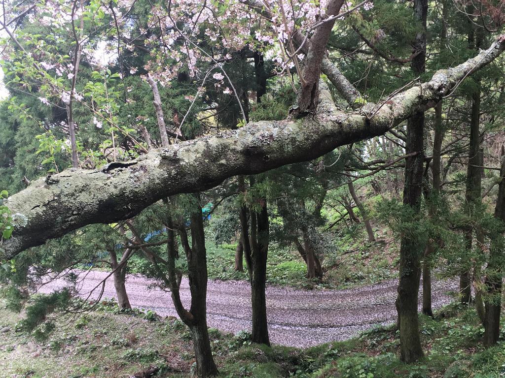 Dogashima Onsen Hotel Nishiizu Eksteriør billede