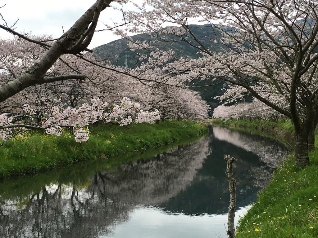 Dogashima Onsen Hotel Nishiizu Eksteriør billede